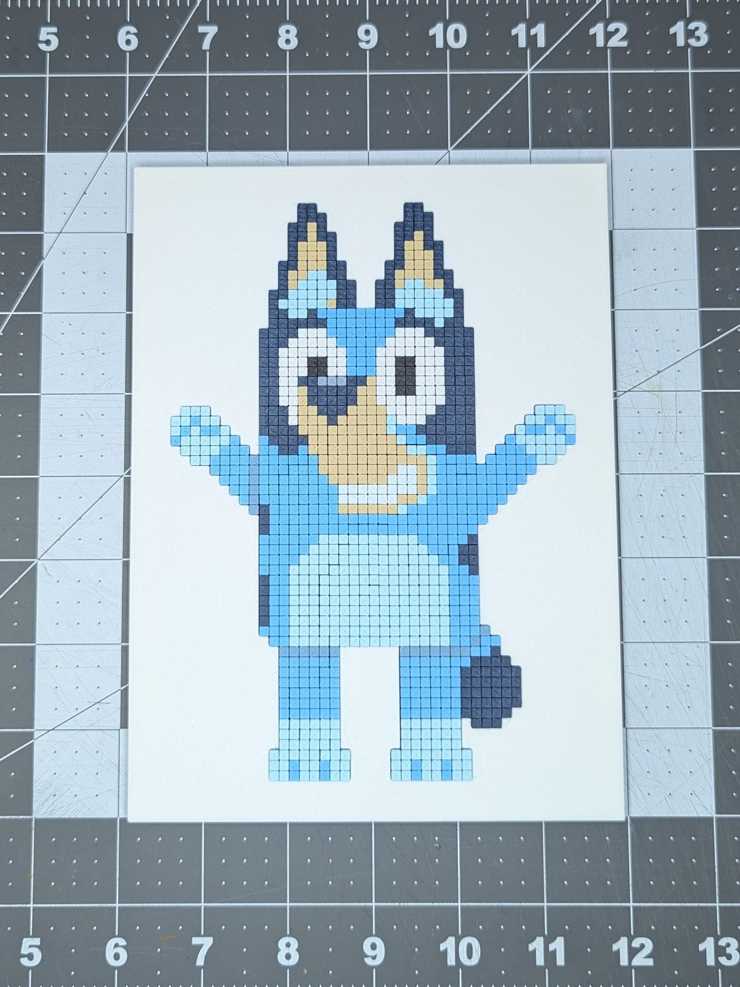 FP-Bluey-whole.jpg