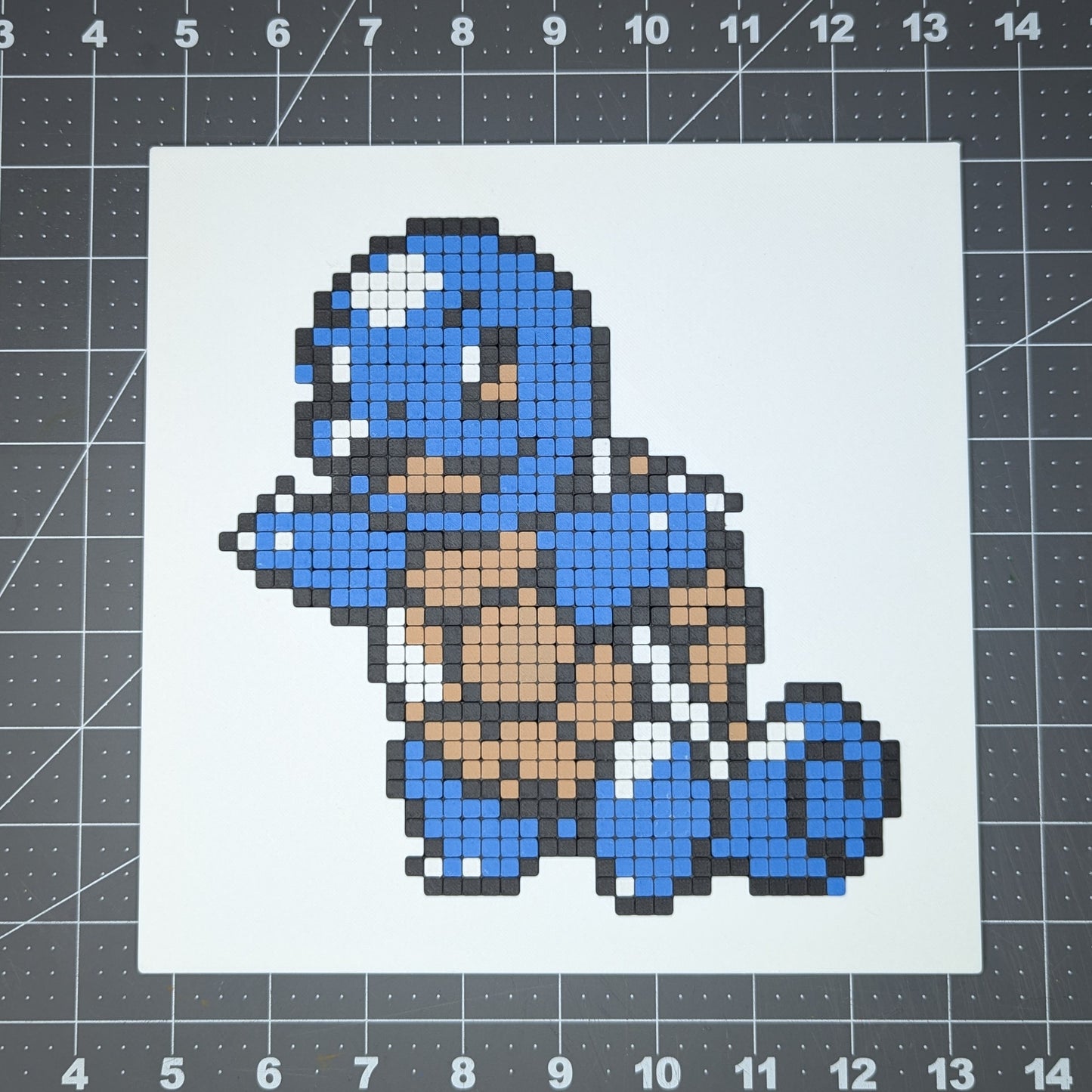 FP-Squirtle-g2-whole.jpg