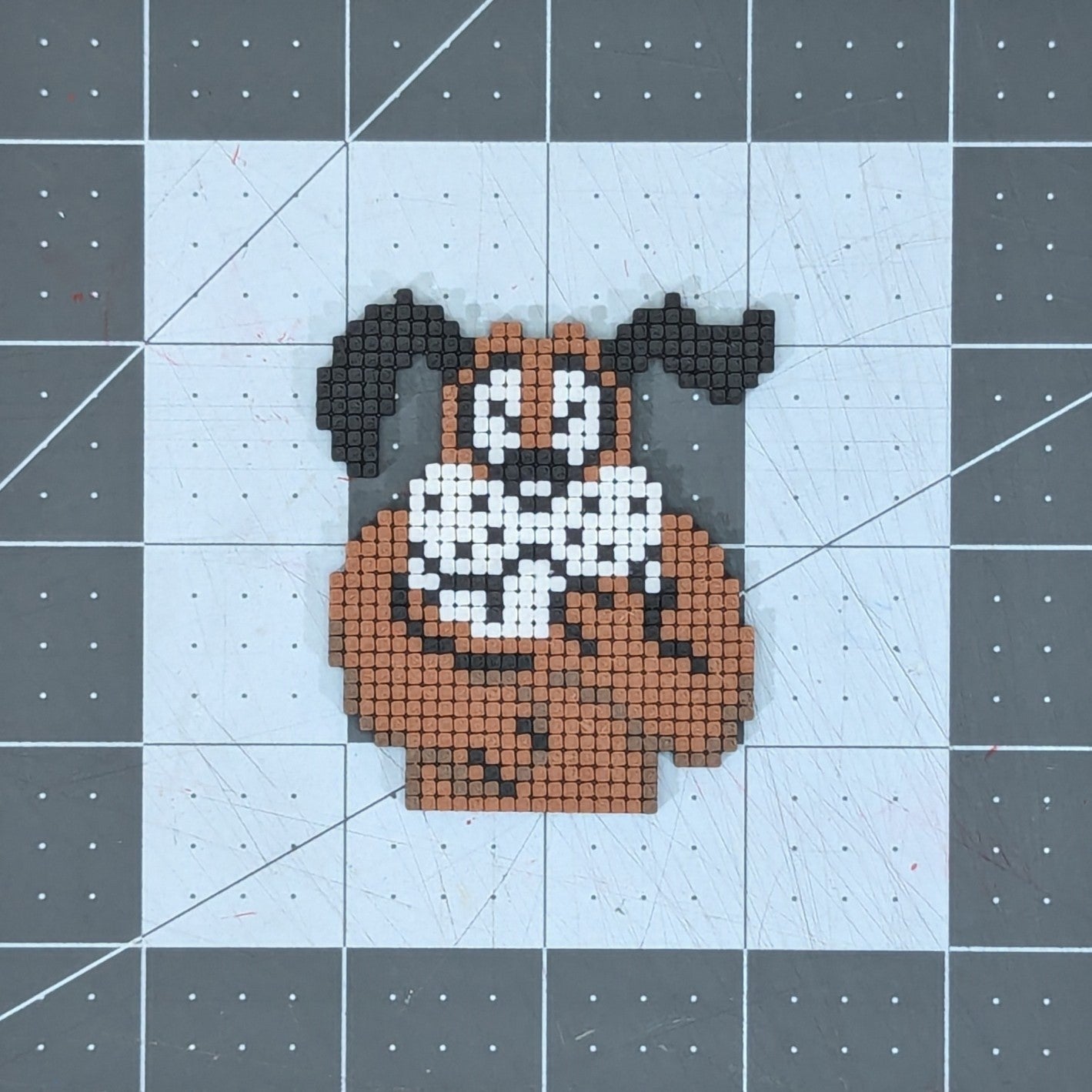 PAM-LaughingDog-dh.jpg